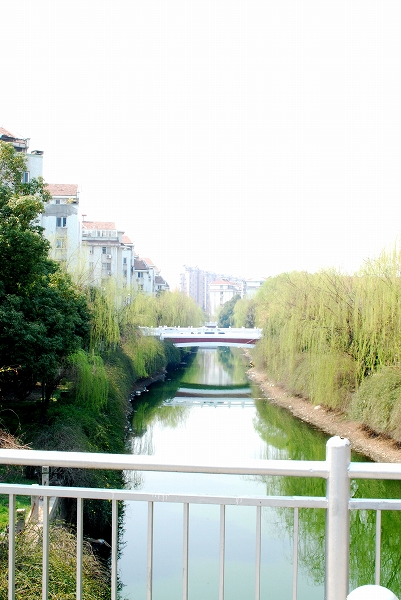 d0089706_17424269.jpg