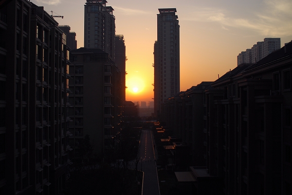 d0089706_1795058.jpg