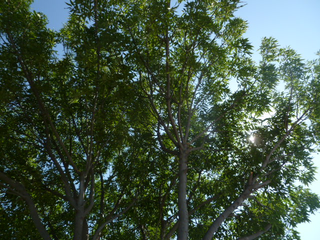 a0144811_531297.jpg