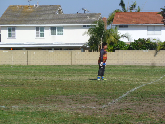 a0144811_532493.jpg