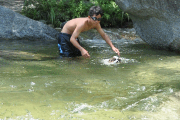c0065512_2264393.gif
