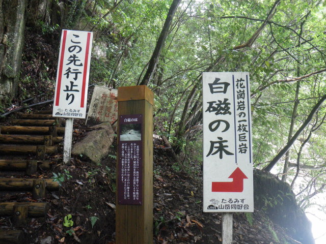 d0006512_227412.jpg