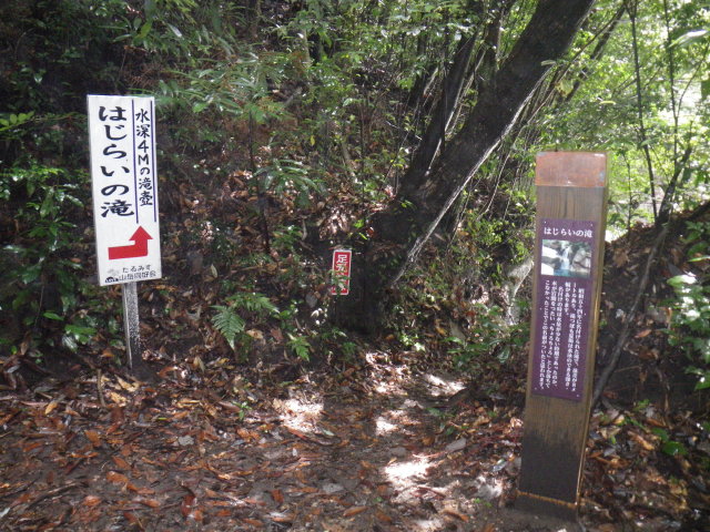d0006512_2292093.jpg