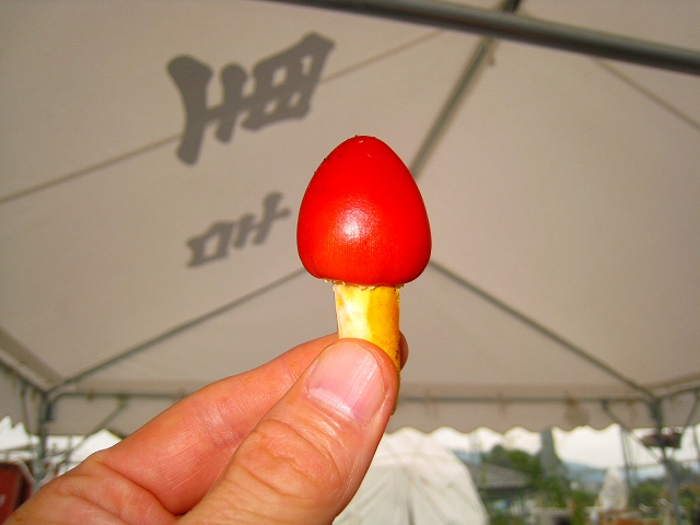 e0002820_001017.jpg