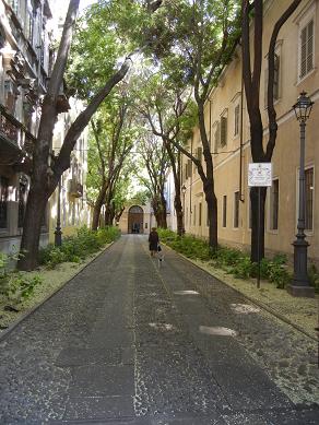 b0129725_2282734.jpg