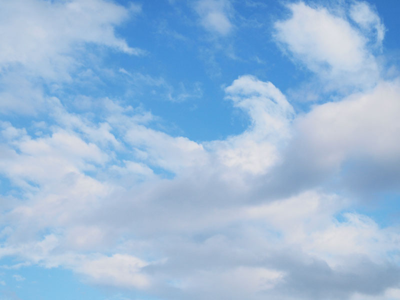 c0211429_20155416.jpg