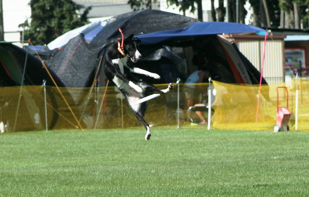 b0085331_14234032.jpg
