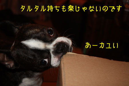 a0190132_2233587.jpg