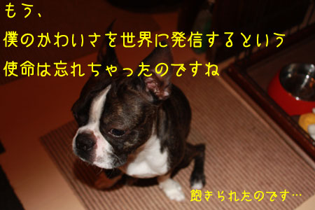 a0190132_22343799.jpg