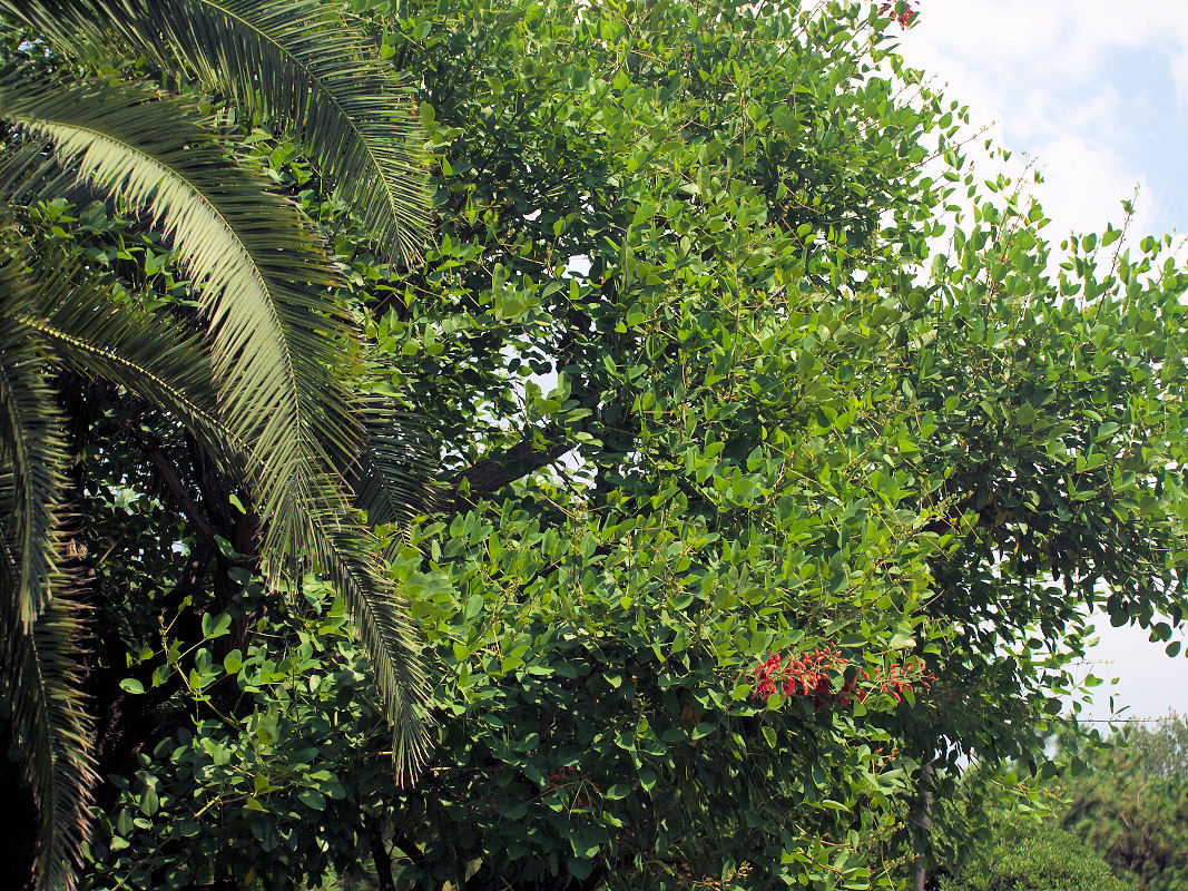 d0213034_7161964.jpg