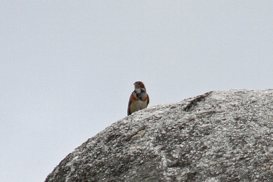 e0077041_1132623.jpg