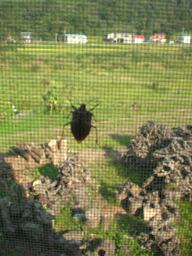 d0179044_14182242.jpg