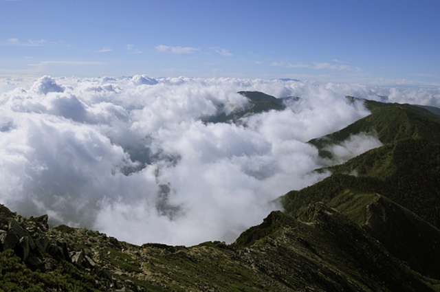b0122448_2154430.jpg