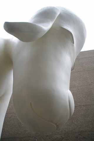 e0045768_22164635.jpg