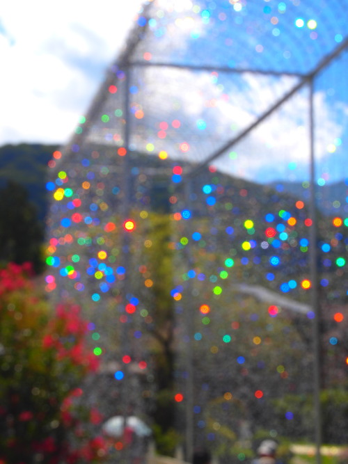 c0122670_0515497.jpg