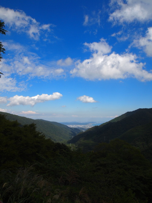 c0122670_1153795.jpg