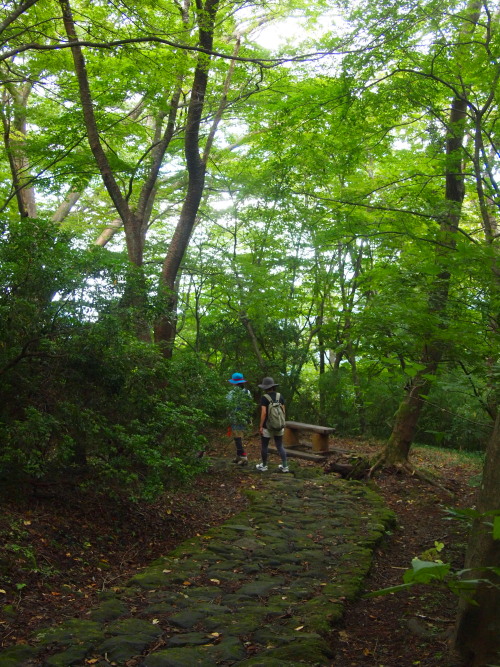 c0122670_1444564.jpg