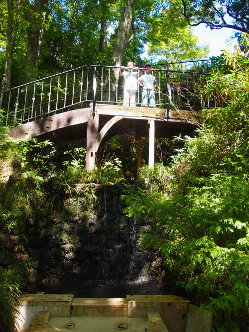 c0122670_181249.jpg