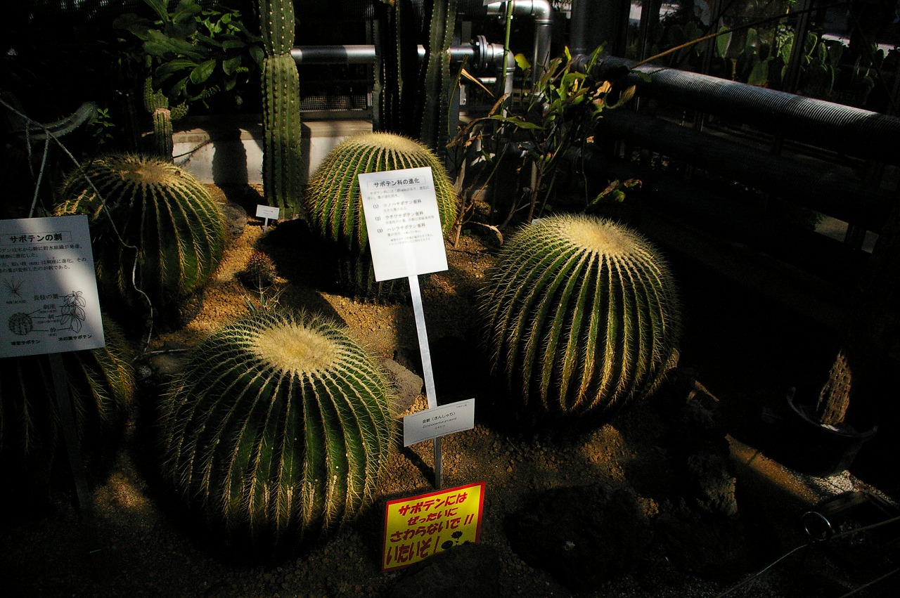 d0031171_15591314.jpg
