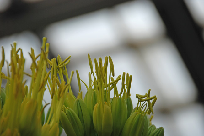 c0094572_7425060.jpg