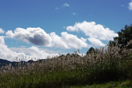 a0188079_18351972.jpg