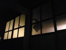 c0057781_14332580.jpg
