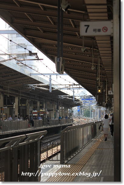 b0136683_943331.jpg