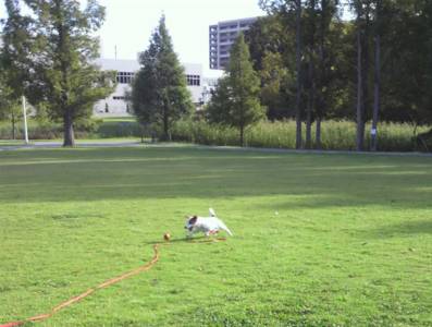 a0105289_1374342.jpg