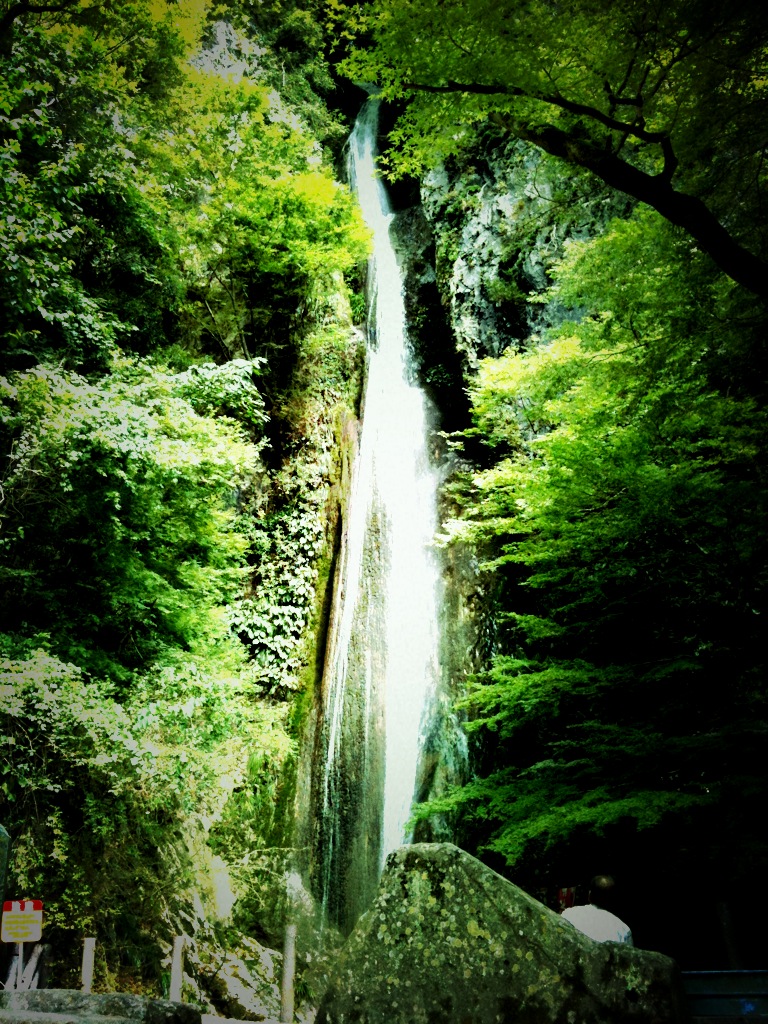 c0060593_1365788.jpg