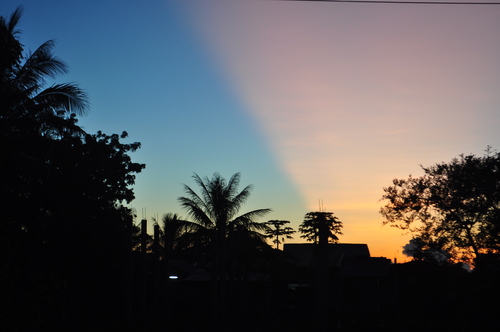 b0204895_20373038.jpg