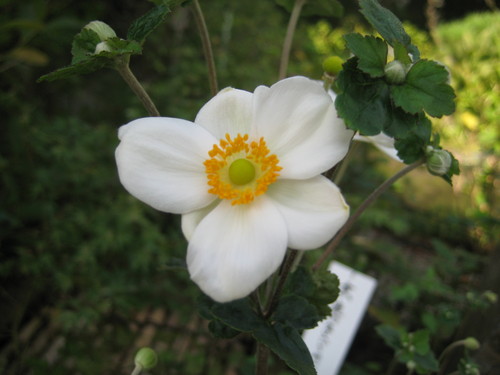 f0201297_883722.jpg