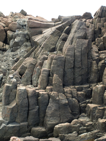 d0046404_2013275.jpg