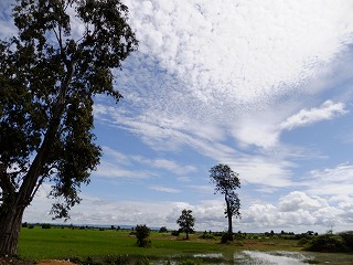 b0229505_1355464.jpg