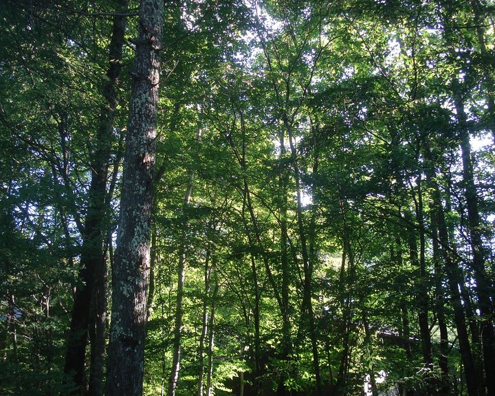 b0148106_922741.jpg