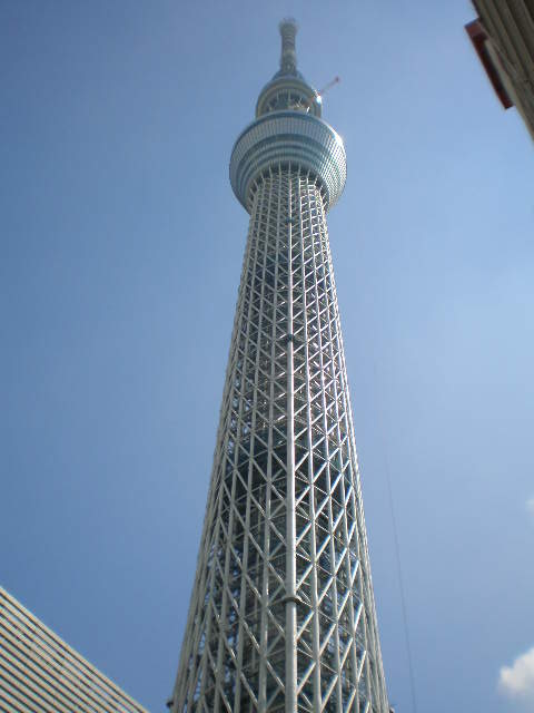 f0052206_10381663.jpg