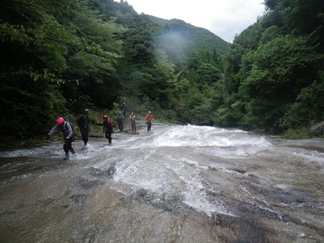 d0006512_9201689.jpg