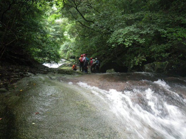 d0006512_9203991.jpg