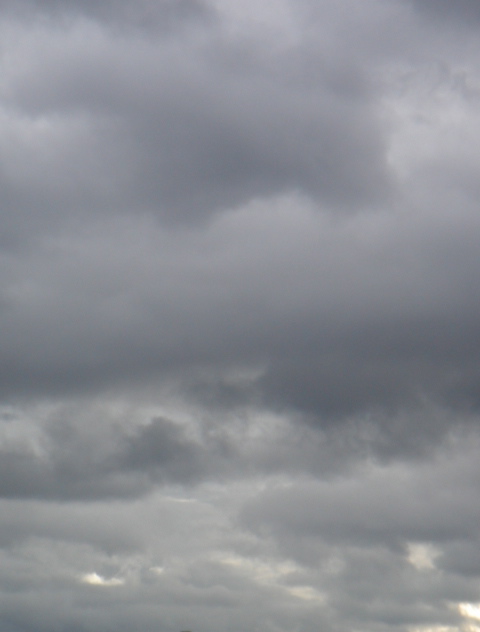 a0229731_2045746.jpg