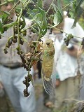 f0167635_8201679.jpg