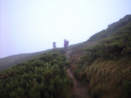 d0107938_12302150.jpg