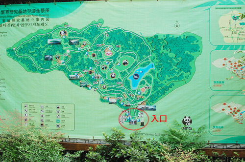 a0023740_1758311.jpg
