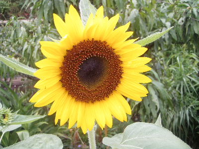a0054240_17235251.jpg