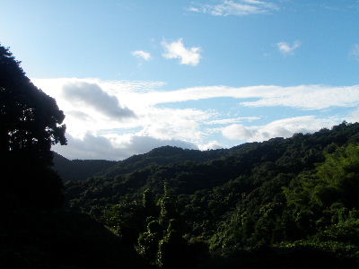 a0054240_17425287.jpg