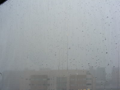b0129140_1647651.jpg