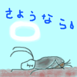 d0039443_1053224.gif