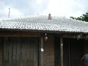 e0173743_1553815.jpg