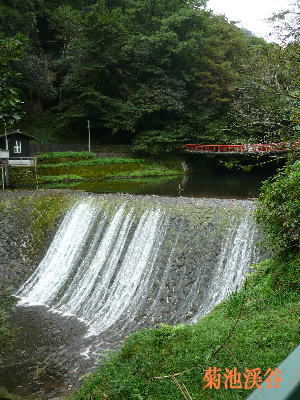 d0013645_144222.jpg