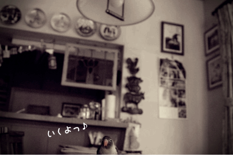 c0145250_19244720.gif