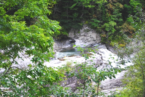f0119255_1753316.jpg