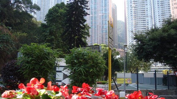 a0212656_1822871.jpg